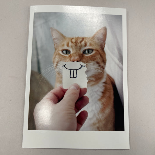 Designer Greeting Cards Birthday