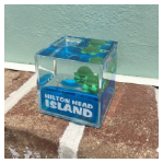 HHI Turtle Fluid Cube