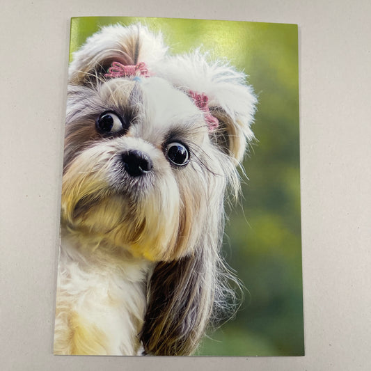 Designer Greeting Cards Birthday