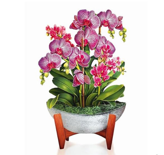 Orchid Oasis Flat Flowers