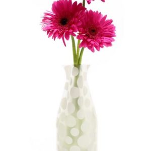 Modgy Vase